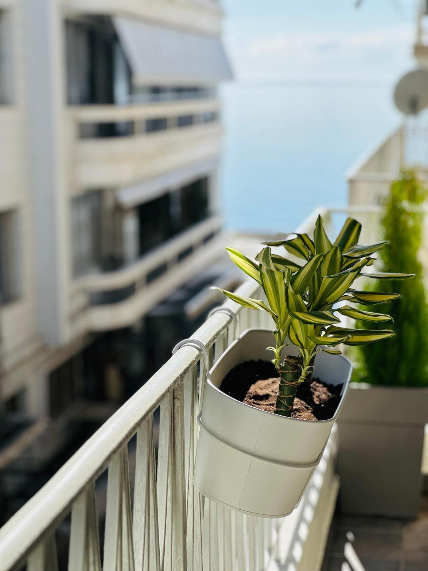 Apartment Aristotelous Square N.4 Thessaloniki